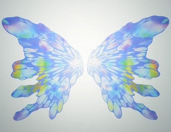 MG EXPANSION EFFECT UNIT "MOONLIGHT BUTTERFLY"for ∀ GUNDAM