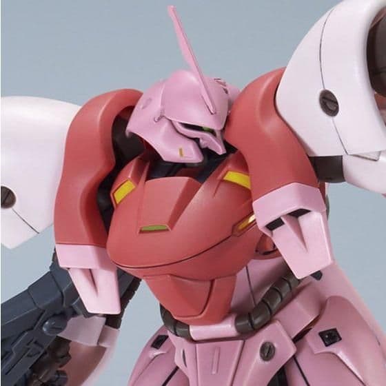 HGBF KIRARA'S GERBERA TETRA