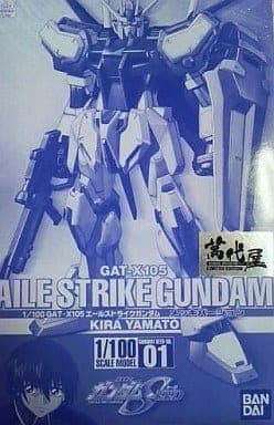 GAT-X105 Aile Strike Gundam Metallic Version - Box Art