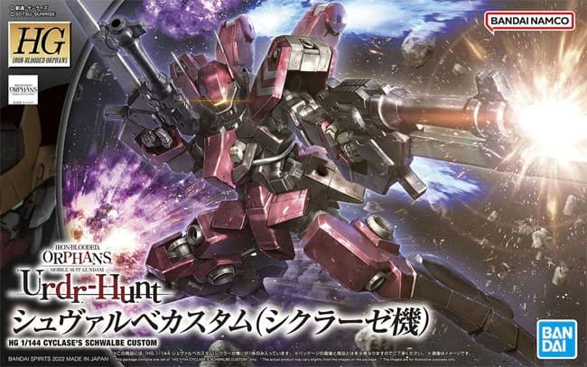 HG CYCLASE'S SCHWALBE CUSTOM - Box Art