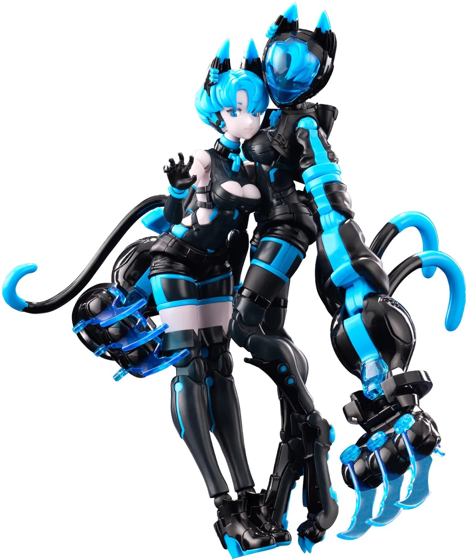 Animacircuit Sora The Cat SP