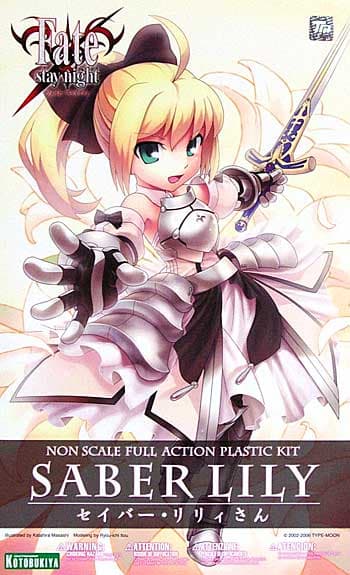 Fate Stay Night Saber Lily - Box Art