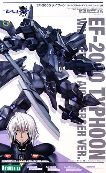 Wilfried von Aichberger ver. EF-2000 Typhoon - Box Art