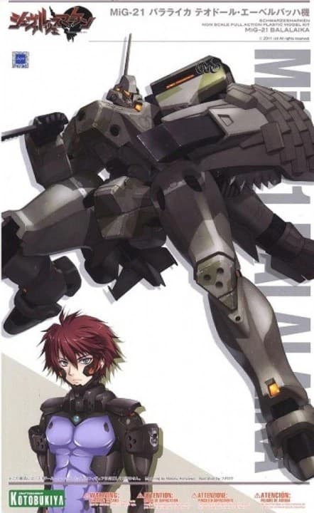 Schwarzesmarken MiG-21 Balalaika - Box Art