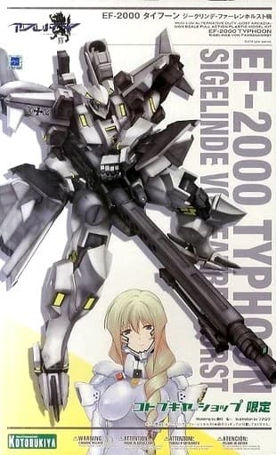EF-2000 Typhoon - Box Art