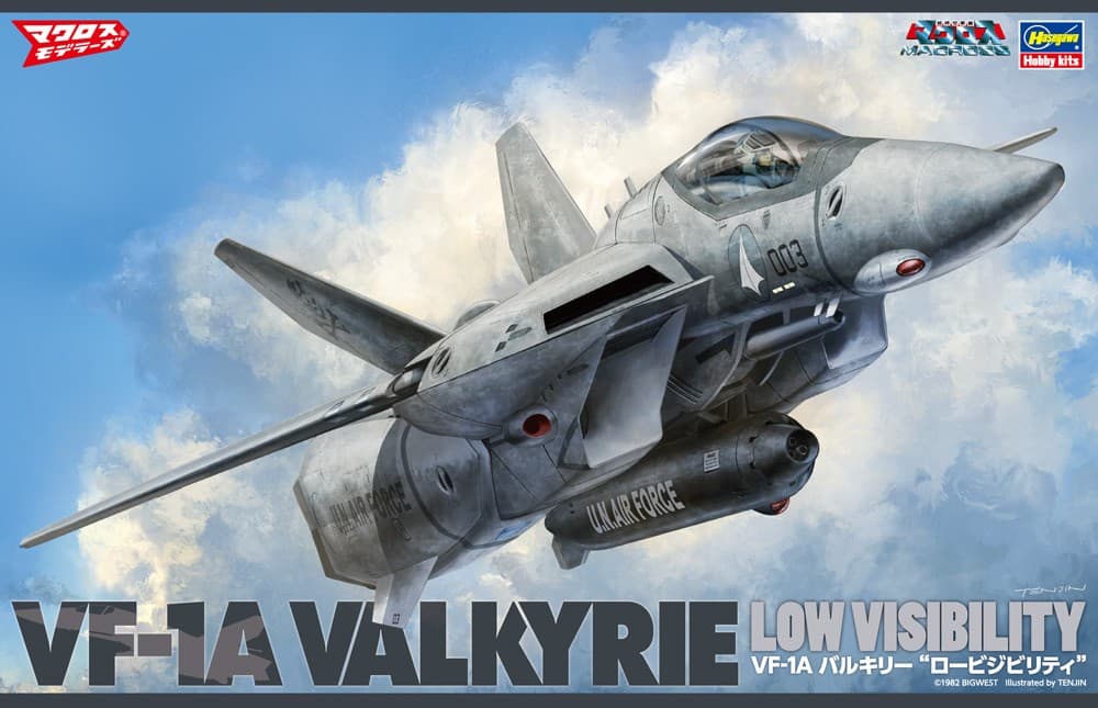 1/48 VF-1A Valkyrie Low Visibility - Box Art